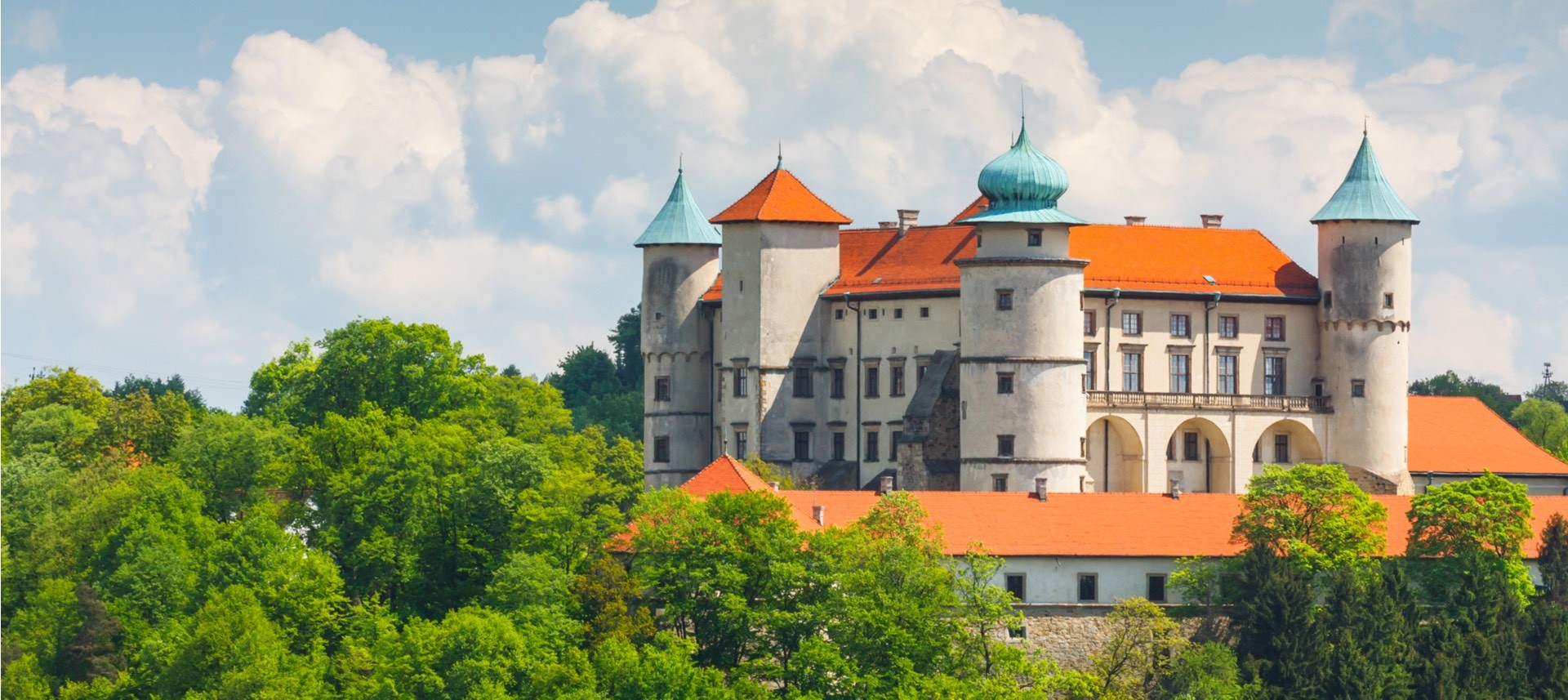 9f565163 b926 4e28 8607 0745d57bceef 05 nowywis niczcastle shutterstock192786824 dziewul