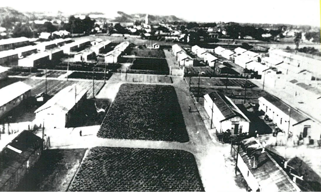 camp de noé49 4x